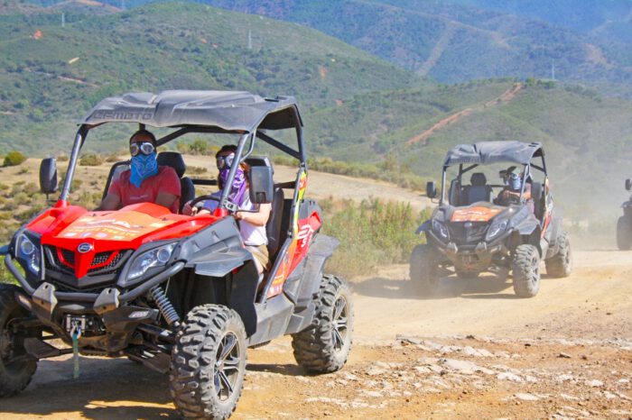 Buggy safari