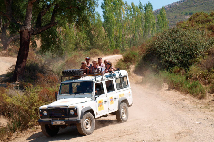 Jeep safari