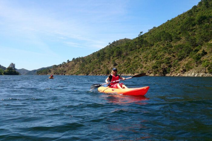 Kayak