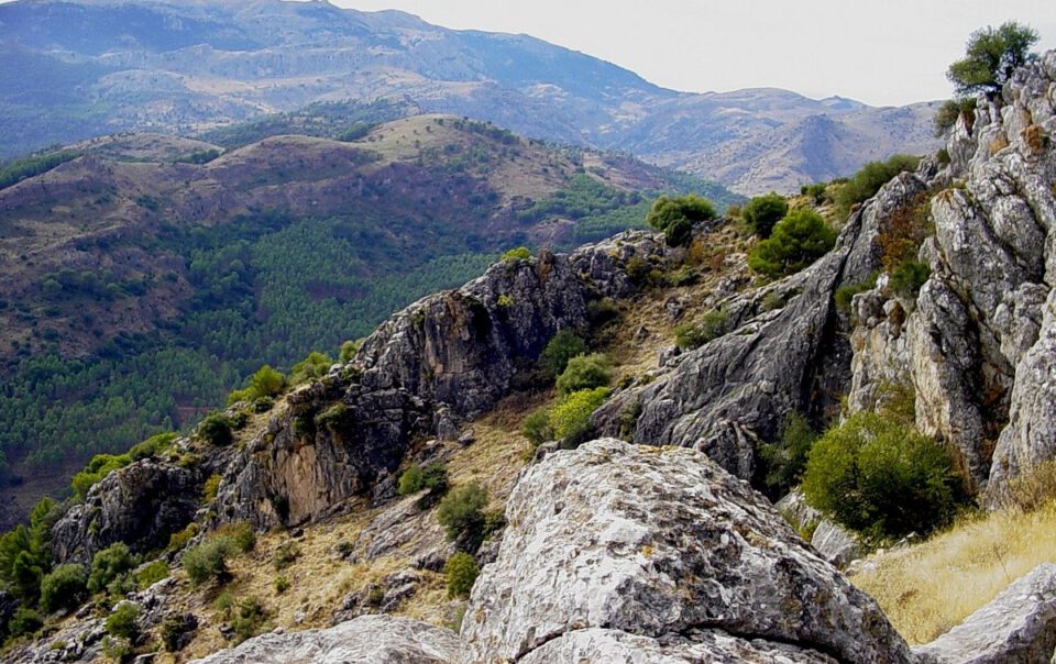 sierra-de-las-nieves